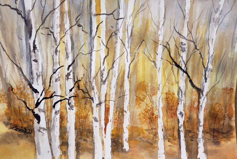 Alberta Birch Stand, watercolour by Lorina Stephens