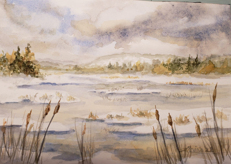 Otterslide Marsh, watercolour by Lorina Stephens