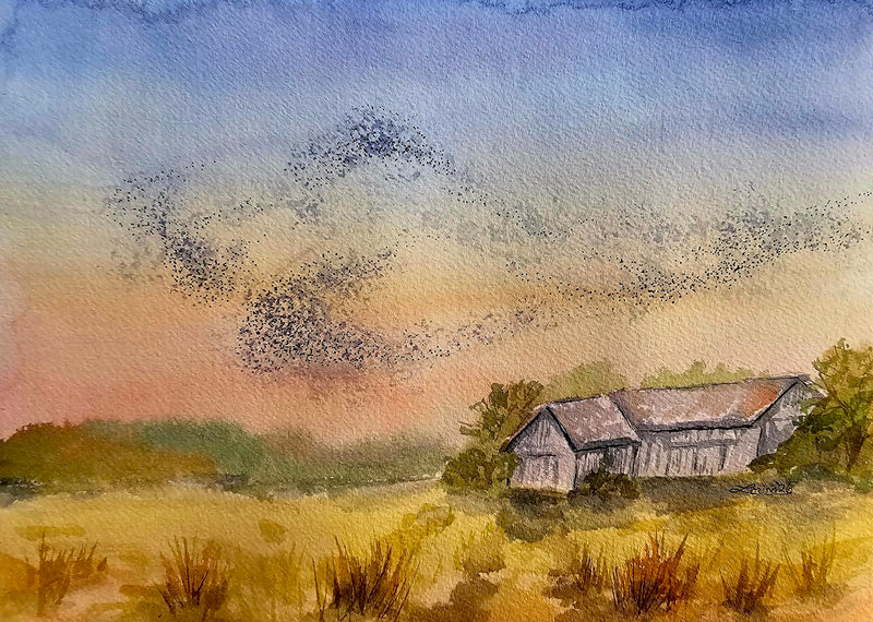 A Murmuration, watercolour and ink by Lorina Stephens