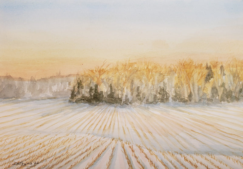 Winter Wheat, watercolour by Lorina Stephens