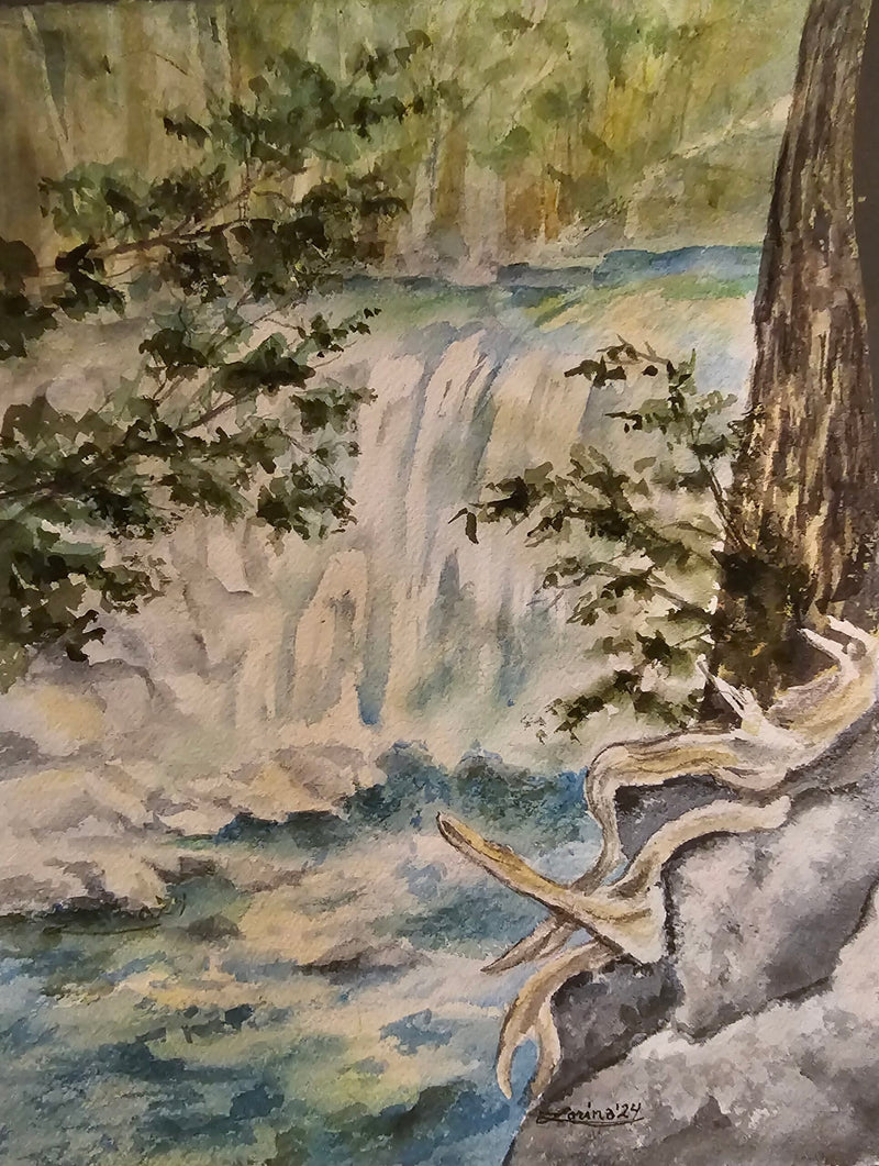Eugenia Falls, watercolour by Lorina Stephens