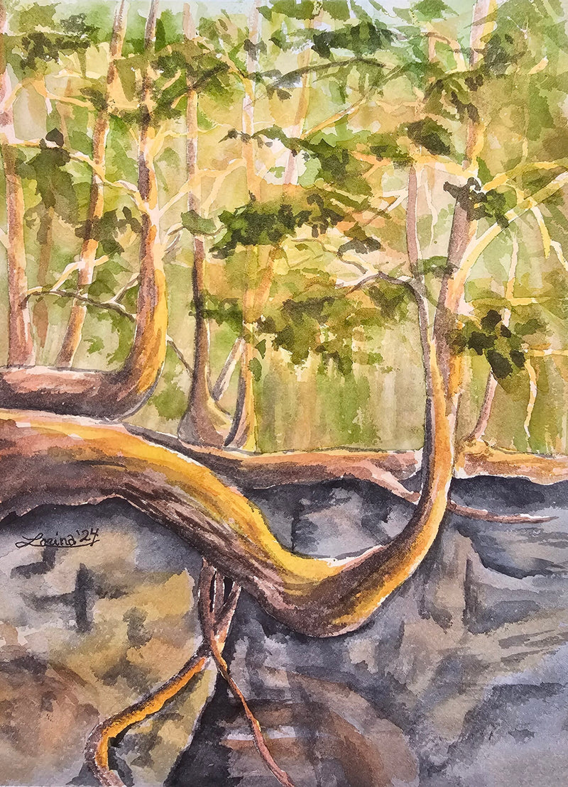 Sunrise at Rattlesnake Point, watercolour by Lorina Stephens