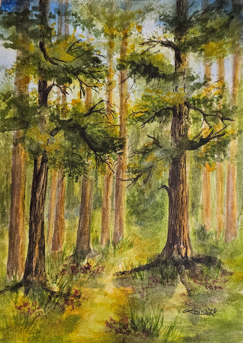 Bruce Peninsula Trail, watercolour and ink by Lorina Stephens