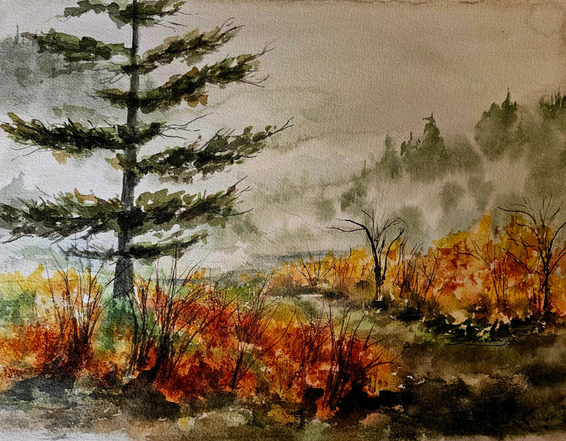 Goldstream Provincial Park, watercolour by Lorina Stephens