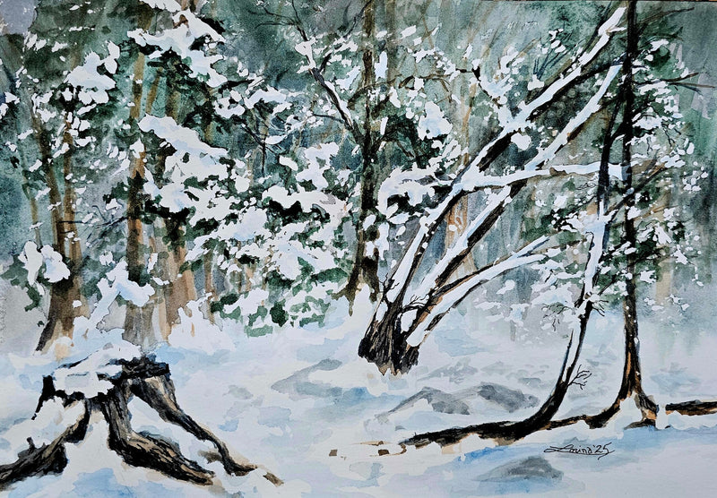 Winter Cedars, watercolour and ink by Lorina Stephens